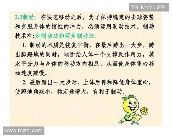 成都排球队技术分析与训练方法探讨聚焦排球运动的未来发展